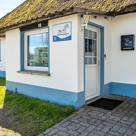 3 * Groß Zicker