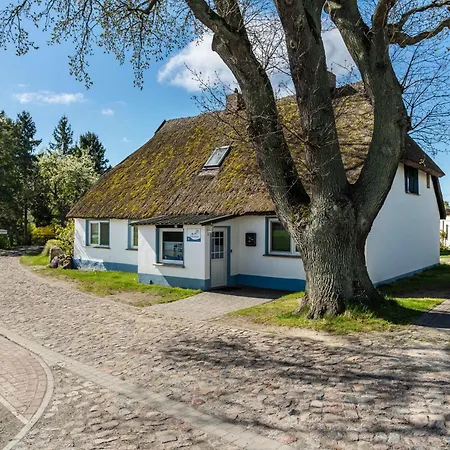 3 Lägenhet